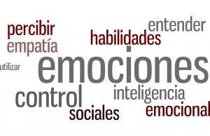 Inteligencia Emocional en la Empresa