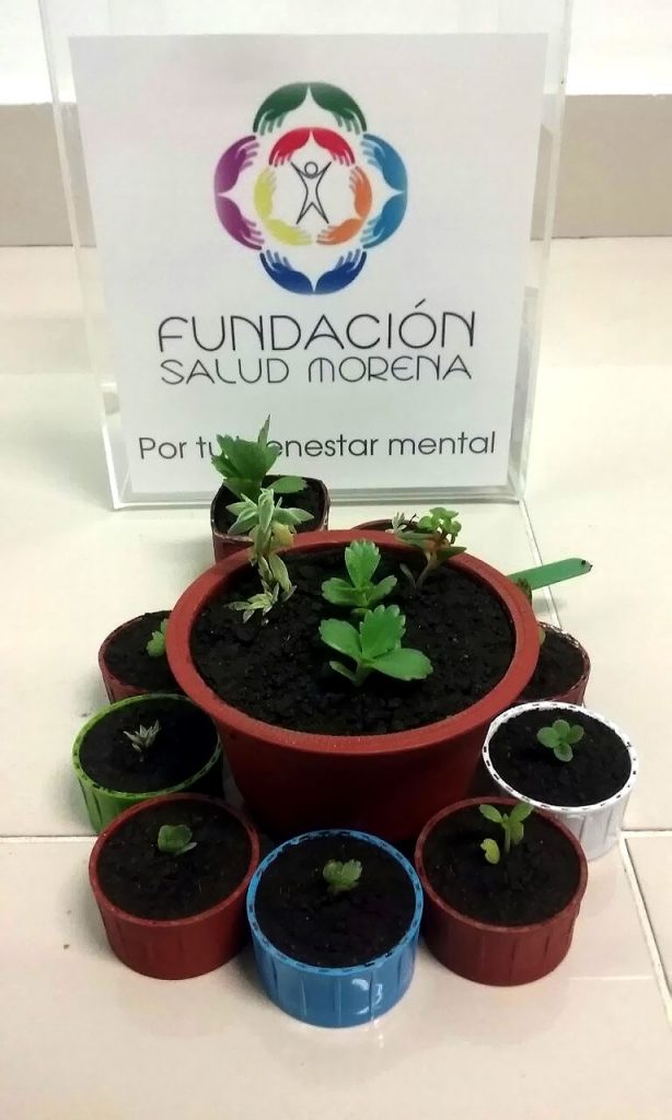 Reconcíliate con la Flora