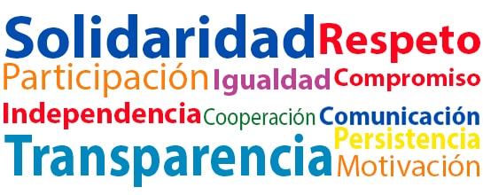Principios Fundación Salud Morena